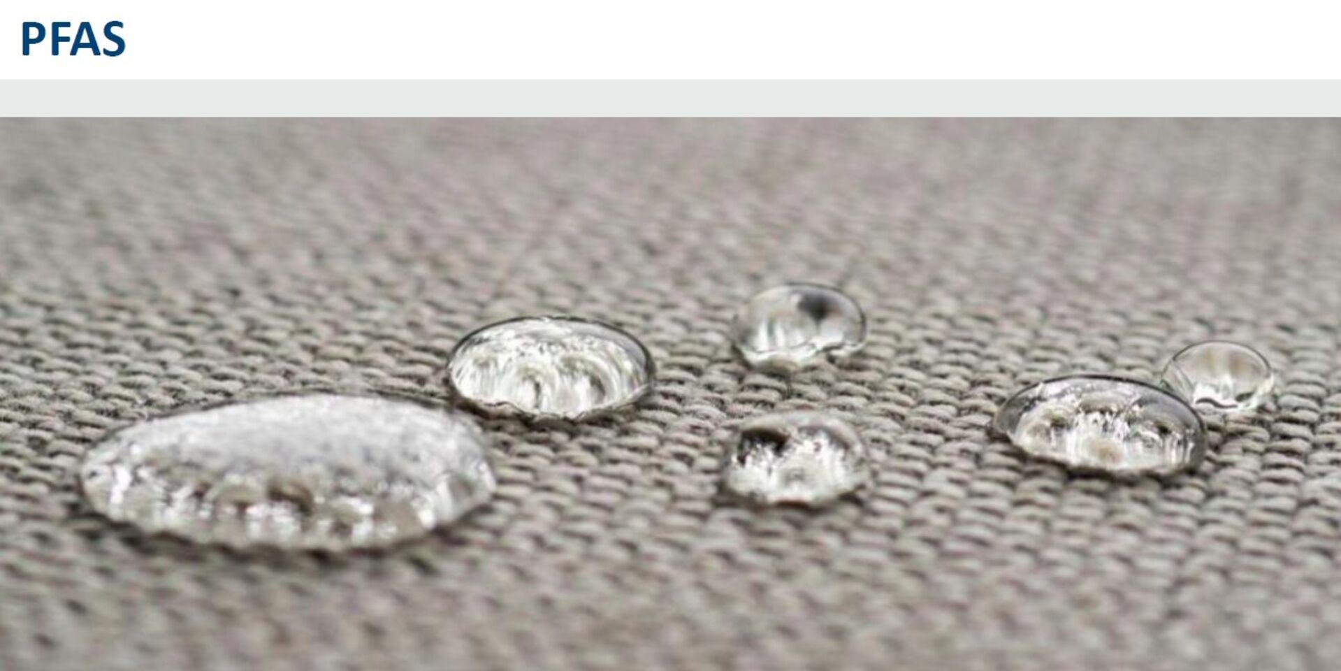 SVLW-GV 2026 im FIFA-Museum Zürich